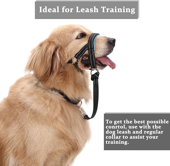 BARKLESS Dog Head Collar, No Pull Head Halter with Soft Padding, Reflective Soft Padded Snout Harness for Medium Dogs, Beagle
