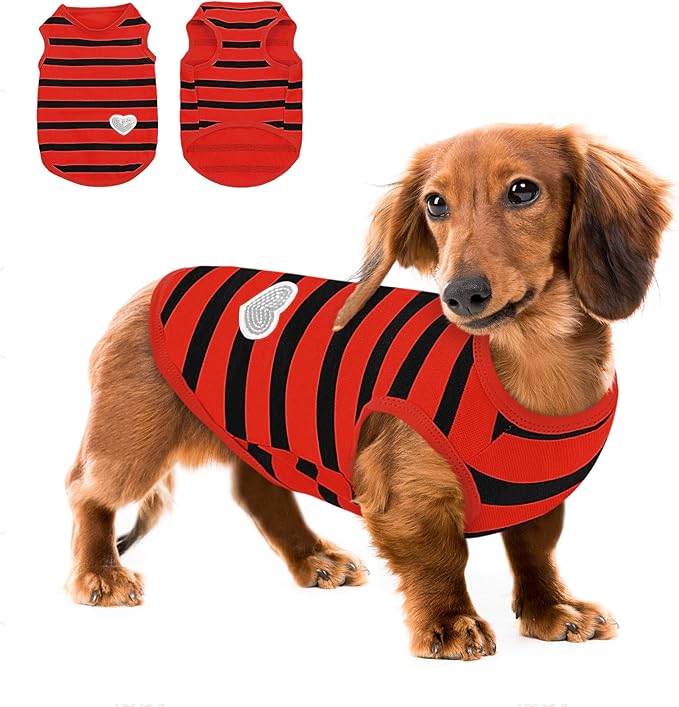 Queenmore Medium Dog Shirt,Soft Breathable Dog Shirt for Dogs Cats Boy Girl,Pet Clothes for All Season,Breathable Lightweight Pet Tshirt for Frenchie, Dachshund, Yorkie