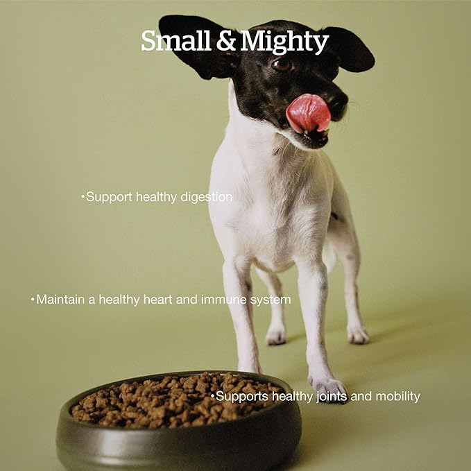 Now Fresh Grain-Free Small Breed Senior Dry Dog Food with Turkey, Salmon & Duck, Premium Kibble with Real Poultry & Fish, Chicken-Free, Added Glucosamine & Chondroitin for Healthy Joints, 12 lb Bag
