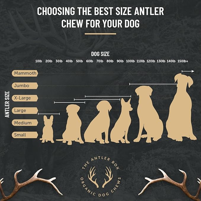 The Antler Box Premium Elk Antler Dog Chews (1 Pound Box) (X-Large (2 Pieces) Whole/Split Mixed)