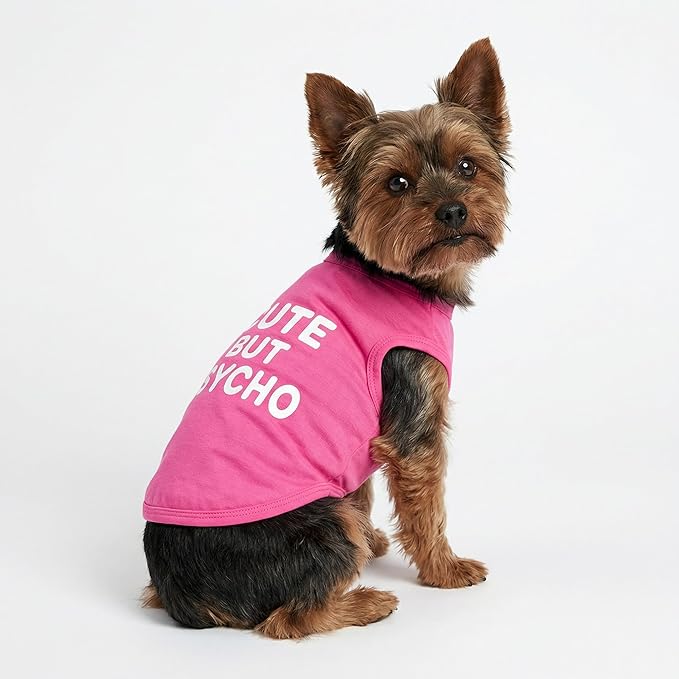 Fitwarm Cute But Psycho Dog Shirt, Summer Clothes for Small Dogs Girl, Funny Pet Outfit, Pink, White, Small