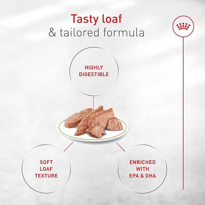 Royal Canin Breed Health Nutrition French Bulldog Wet Dog Food for Adult Dogs, Loaf Wet Food for French Bulldogs 12 Months+, Supports Digestive Health and Bone & Joint Health, 3 oz can
