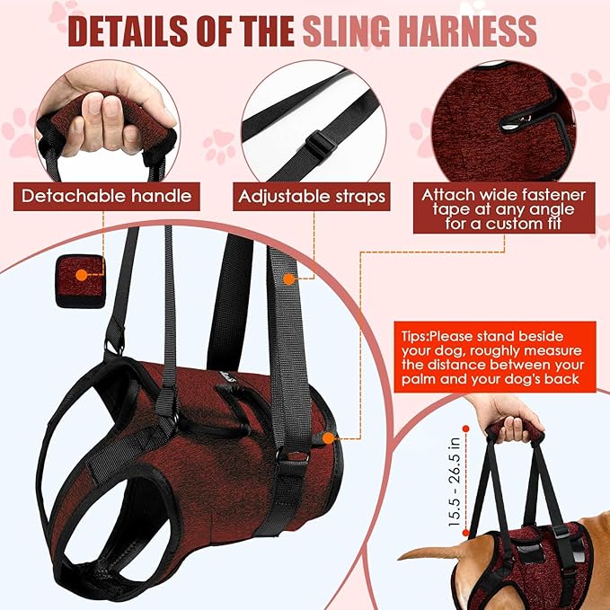 SlowTon Dog Lift Harness - Adjustable Dog Sling for Medium Large Dogs, Hind Leg Support to Help Rehabilitate, Soft Padded Dog Support Harness for Elderly, Injured, Arthritic, Disabled Dogs(R,S)