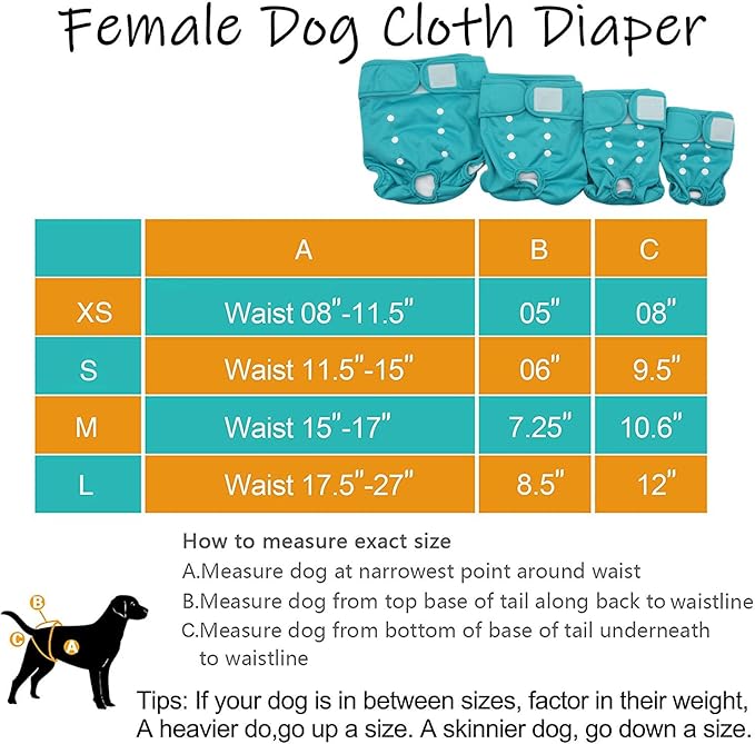 Female Dog Panty for Estrus | Waterproof and Anti-Disturbance Washable Cloth Diaper | Reusable Dog Diaper | Universal for Small/Medium/Large Dogs (S)