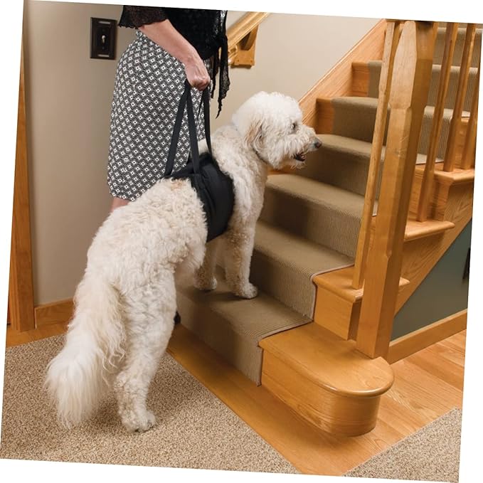 Dog Rehabilitation for Canine Support XL Lift Aid for Weak Hind Legs for Assists Senior and Injured Dogs Mobility