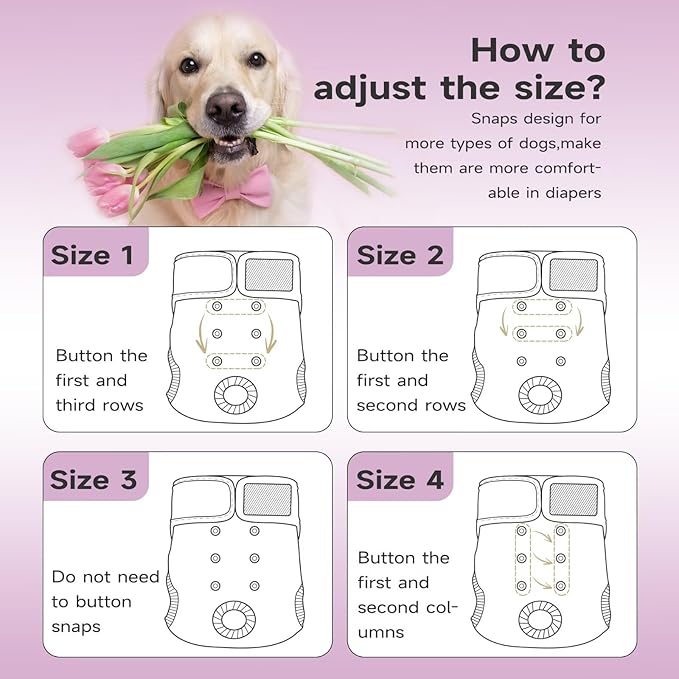 Paw Legend Washable Reusable Female Dog Period Diapers for Heat Doggie Puppy Diapers for Female Dogs (3 Pack, Small)