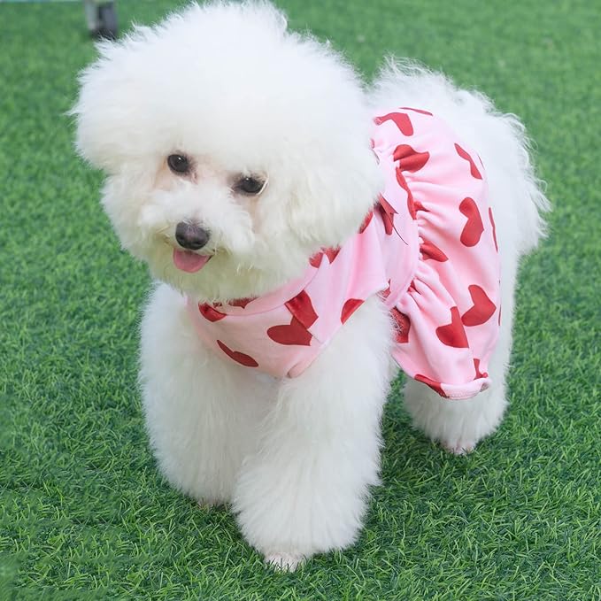 CuteBone Turtleneck Dog Velvet Dress Puppy Skirt Costume Pet Clothes Cat Apparel with Bow Hair Rope for Small Dogs CVD02S