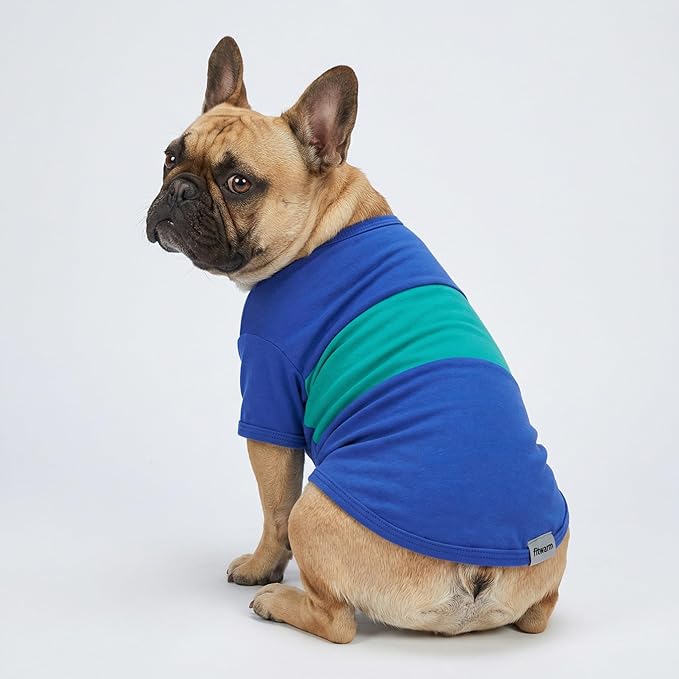 Fitwarm 3 Pack Color Block Striped Dog Shirt, Summer Dog Clothes for Small Dogs, Breathable Lightweight Pet Tshirt with Sleeves, Cat Outfit, Royal Blue, Gray, Teal, XS