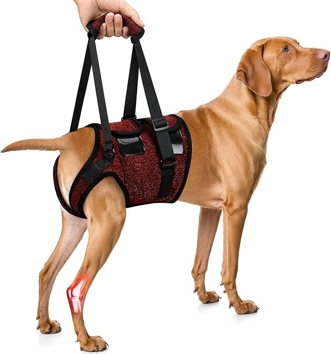 SlowTon Dog Lift Harness - Adjustable Dog Sling for Medium Large Dogs, Hind Leg Support to Help Rehabilitate, Soft Padded Dog Support Harness for Elderly, Injured, Arthritic, Disabled Dogs(R,XL)