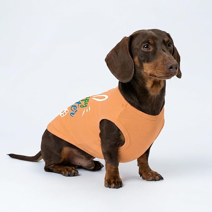 Fitwarm Happy Easter Bunny Dog Shirt, Easter Dog Clothes for Small Dogs Boy Girl, Cute Pet Outfit, Green, Blue, White, Orange, Medium