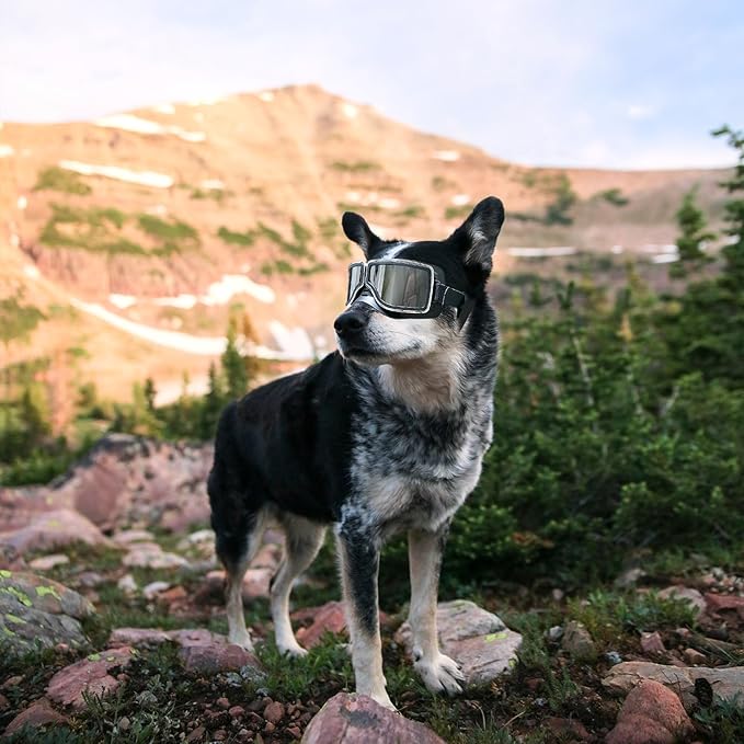 NAMSAN Dog Goggles for Medium to Large Dogs, Wide Snout, Anti-UV Sunglasses for Dogs Large Breeds, Windproof Dustproof Dog Eye Protection, Black