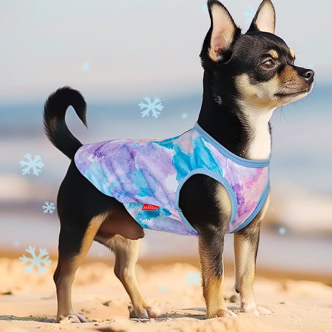 KYEESE 2Pack Dog Cooling Shirt, Breathable Dog Shirt for Small Dogs, Sun Protection Dogs Cooling Vest Tank Top, Lightweight Soft Sleeveless Summer Pet Clothes, Purple+Blue, M