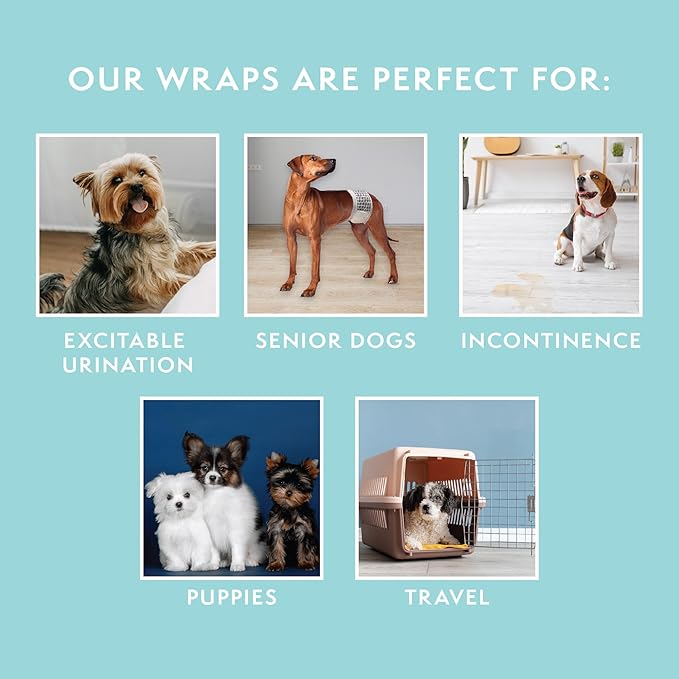 Simple Solution Disposable Dog Diapers Wraps for Male Dogs, True Fit, Absorbent, Leak Proof with Wetness Indicator, Puppy and Doggie Diaper for Peeing, For Small Pets, 12 – 19 Inch Waist, 12 Count