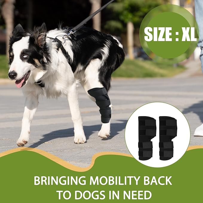 Dog Leg Braces for Rear Leg, Adjustable Dog Leg Sleeve Added Mobility Safety for Active Aging Dogs, Knee Support Straps for Outdoor Adventures Daliy Use Enhanced Stability (XL)
