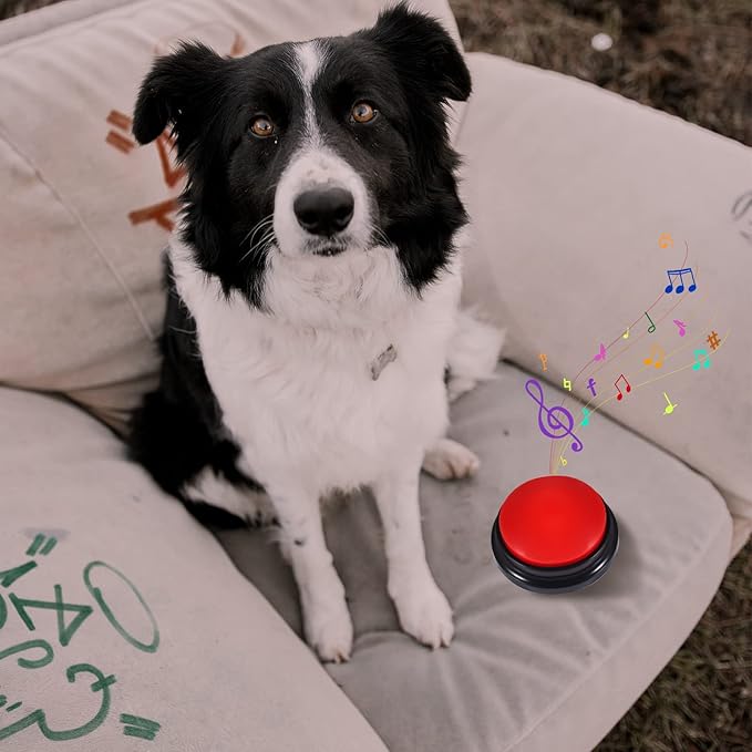 Pet Communication Button for Dogs, 30 Seconds Voice Recording Button Dog Pet Training Buzzer Pet Interactivity Device Dog Bells for Potty Training, Not Include Batteries (Red)