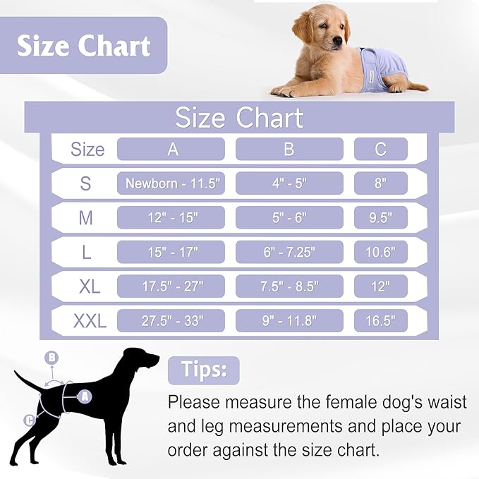 5 Pack Reusable Diapers for Doggie, Highly Absorbent Dog Diapers Female for Pet with Incontinence or Frequent Urination, Large Dog Diapers Female, Pink & Purple