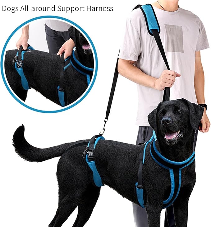 Pet Rehabs Strap for Aging Disabled Dog Nonslip Polyester Senior Mobility Tool for Outdoor Walking Gear Elderly Belt