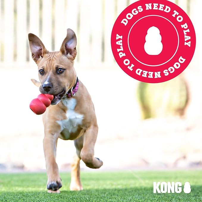 KONG Puppy Binkie - Pacifier Dog Toy for Puppies - Stuffable Treat Chew Toy for Treats - Durable Natural Rubber for Teething Puppy - for Small Puppies - Pink