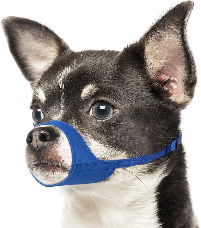 Mayerzon Short Snout Dog Muzzle for Small Medium Dogs, Soft & Sturdy Fabric, Anti Excessive Biting Chewing, Suits Chihuahua Shih Tzu Maltese for Grooming Vet Visits Walk, Allows Drinking(Blue, XS)