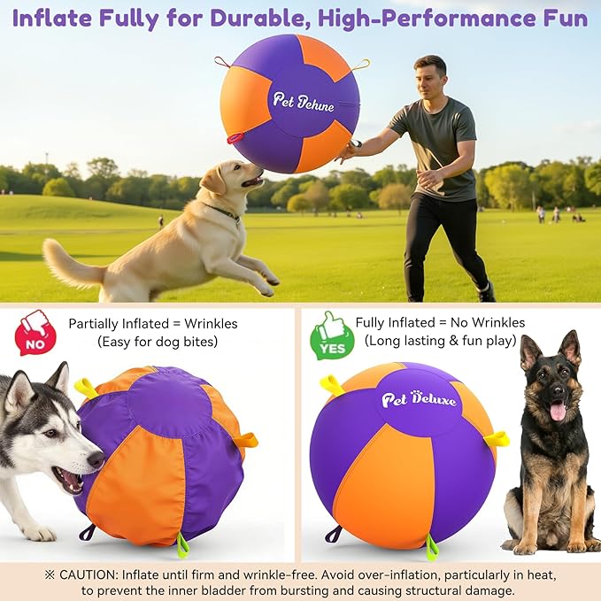 Pet Deluxe 25" Herding Ball for Large Dogs - Durable Interactive Herding Toy with Fast 2.5-Min Pump & Carry Handles, for Australian Shepherd, Border Collie, Outdoor Training & Backyard Play