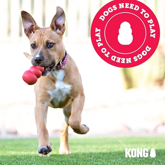 KONG Classic Toy & Enhanced Ziggies Treats Combo Pack - Durable Chew Toy for Dogs - with Enhanced Ziggies Treats - Dog Accessories for Fun & Health - for X-Large Dogs