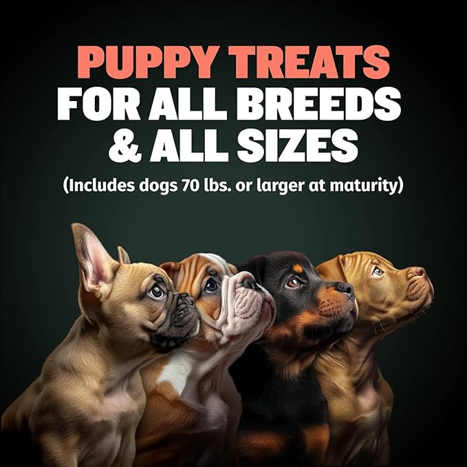 Bully Max Puppy Training Treats - Soft Chews Dog Food Supplements & Vitamins for Brain, Skin & Coat Health - Glucosamine & Chondroitin for Joint Support – Multivitamin Food Topper for Puppies - 2 Bags
