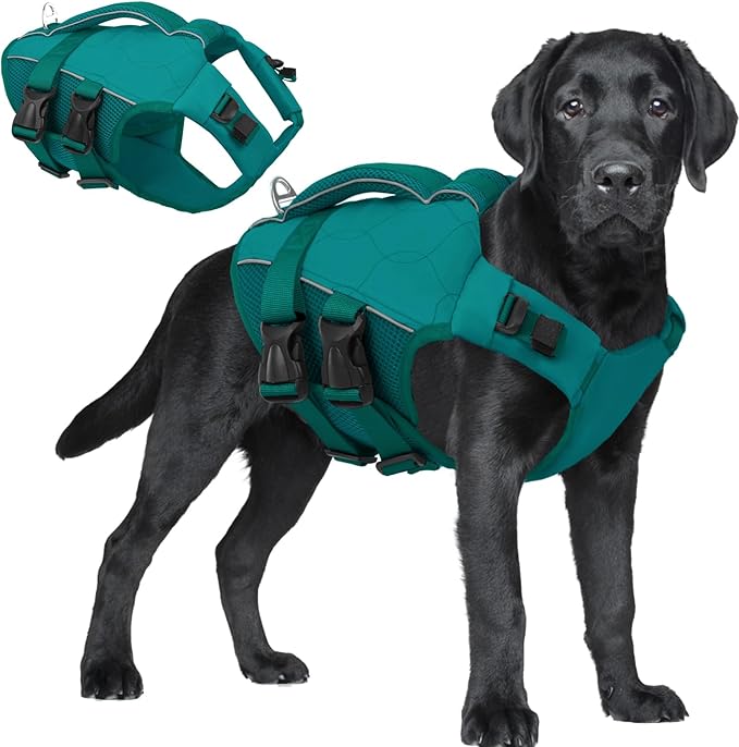 ASENKU Dog Life Jacket, High Floatation Dog Swimming Vest with Rescue Handles for Small Medium Large Dogs, Pet Safety Swimsuit Preserver for Pool Beach Boating (LakeGreen, 2XL)