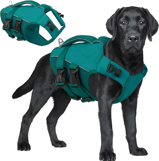 ASENKU Dog Life Jacket, High Floatation Dog Swimming Vest with Rescue Handles for Small Medium Large Dogs, Pet Safety Swimsuit Preserver for Pool Beach Boating (LakeGreen, 2XL)