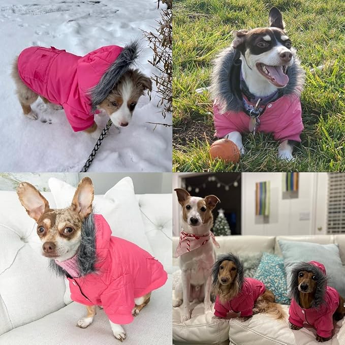 LESYPET Dog Coat for Small Dogs, Windproof Doggie Puffer Jacket with Leash Hole, Extra Warm Dog Jacket Winter Coat, Pink L
