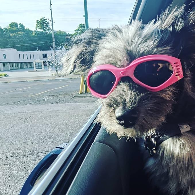 NAMSAN Dog Goggles for Small to Medium Dogs, Dog Sunglasses UV Protection for Medium Dogs Outdoor Cycling Driving, Small Puppy Glasses Dog Eye Protection, Anti-Fog Windproof, Adjustable, Pink