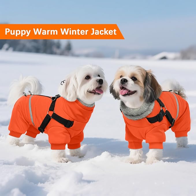 BRKURLEG Small Dog Winter Coat with Harness Built in, Orange Winter Dogs Jackets, Fullbody Dog Coat, Dogs Snowsuits Reflective Windproof Cold Weather Coats, Pet Warm Fleece Coats, XL