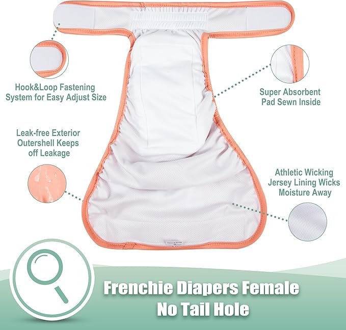 wegreeco Frenchie Dog Diapers Female No Tail Hole, Washable Pet French Puppy Bulldog Diapers Female for Period Heat, Reusable Doggy Doggie Dog Diapers （Small）