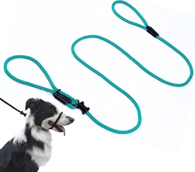 Multifunctional Figure 8 Padded Head Halter Walking Training Leather Stopper Slip Lead Dog Rope Leash (Turquoise)
