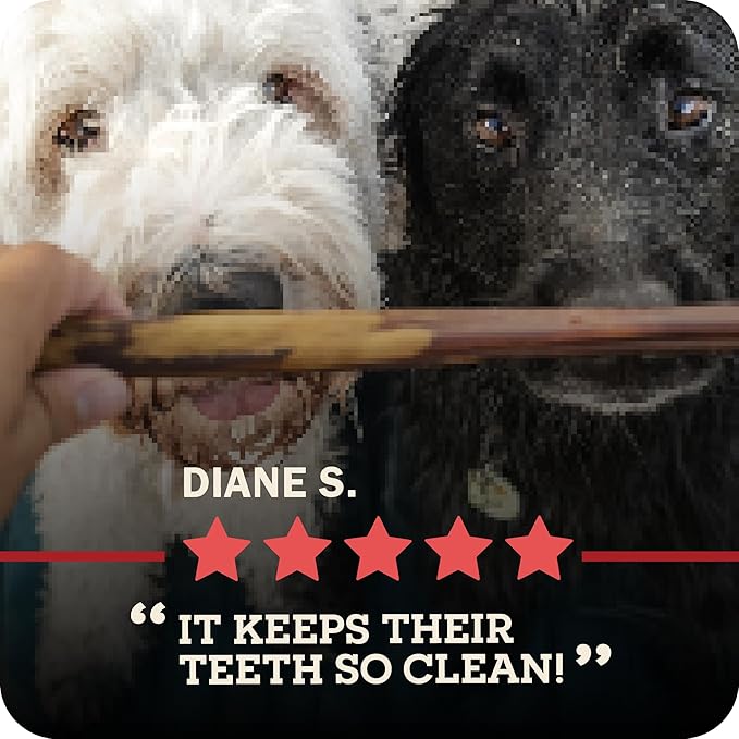 Redbarn Pet Products 7" Braided Bully Sticks for Dogs - Natural, Grain-Free, Highly Palatable, Long-Lasting Dental Chews Sourced from Free-Range, Grass-Fed Cattle, 3-Count, Pack of 12