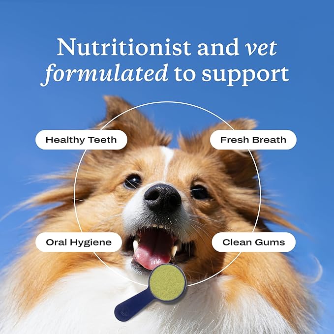 PetLab Co. ProBright Dental Powder - Dog Breath Freshener - Teeth Cleaning Made Easy – Targets Tartar & Bad Breath - Formulated for Small Dogs - Pack of 2