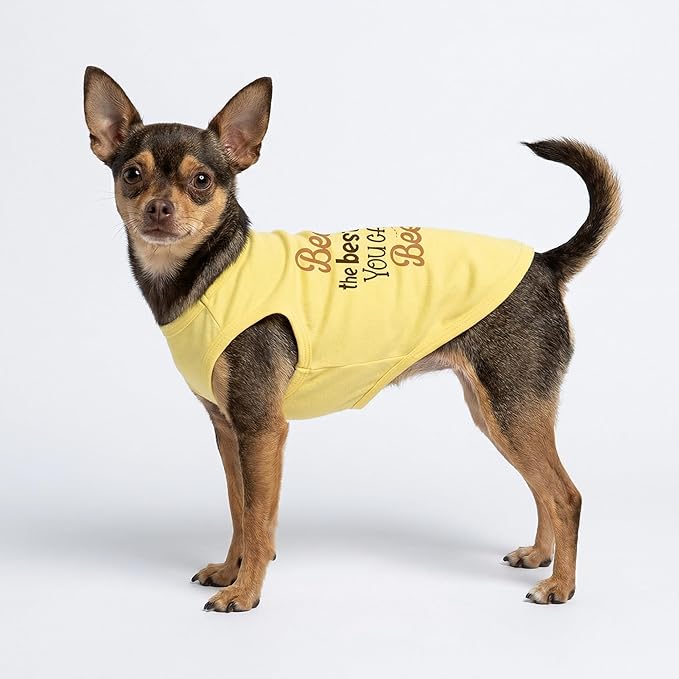Fitwarm Bee The Best You Can Dog Shirt, Summer Clothes for Small Dogs Boy Girl, Funny Pet Outfit, Yellow, Brown, Blue, Small