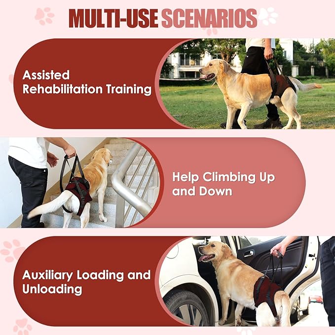 SlowTon Dog Lift Harness - Adjustable Dog Sling for Medium Large Dogs, Hind Leg Support to Help Rehabilitate, Soft Padded Dog Support Harness for Elderly, Injured, Arthritic, Disabled Dogs(R,M)