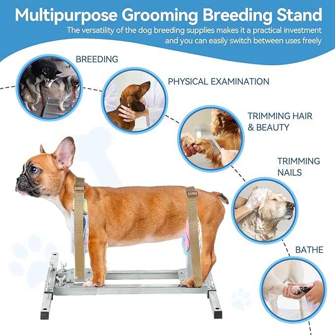 Dog Breeding Stand, Stainless Steel Breeding Stand for Dogs, Shoulder Height 15.7 IN-23.6 IN,Pet Fixed Bracket for Medium to Large Dogs,Adjustable Height and Length,Strong Grooming Breeding Stand（M）