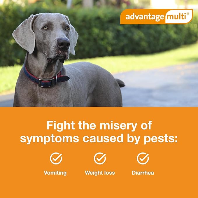 Advantage Multi Topical Solution for Dogs 6 Doses, 88.1-110 lbs (Brown)