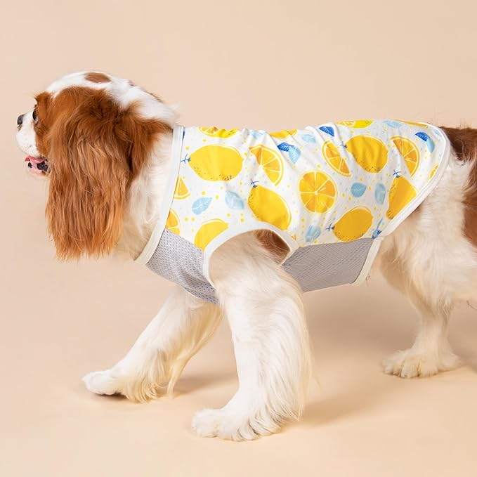 Fitwarm 2 Pack Ice Lemon UPF 50+ UV Sun Protection Dog Shirt, Lightweight Dog Cooling Vest, Quick Dry Summer Clothes for Small Dogs Boy Girl, Pet Outfit, Blue, Yellow, White, XXL