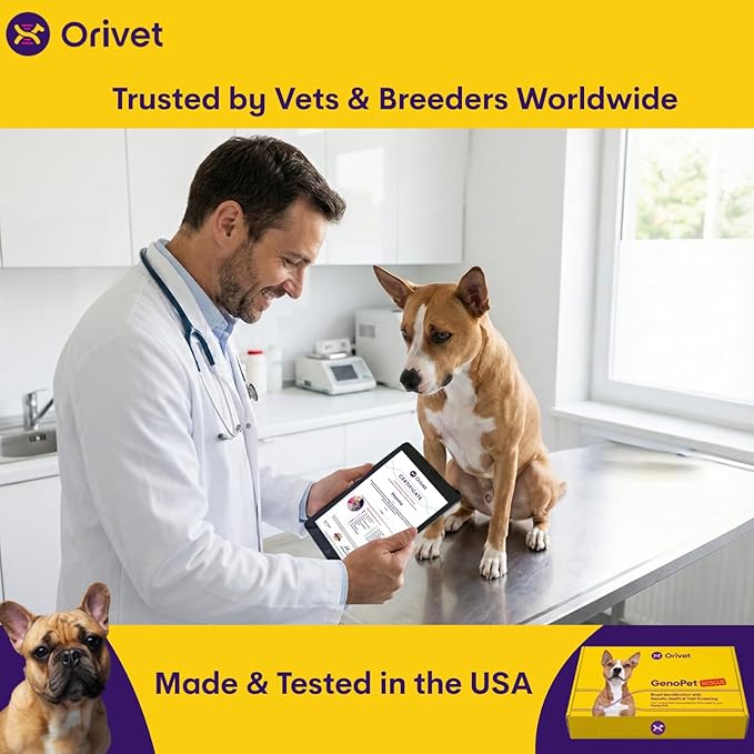 ORIVET Dog DNA Test Kit – Comprehensive Dog DNA Test Kit for 365+ Breed Identification & 265 Health Markers | At Home Dog DNA Kit with Canine Genetic Testing & Life Plan Genopet Rescue
