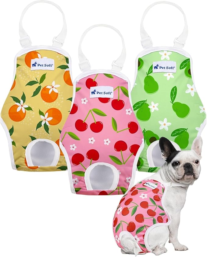 Pet Soft Dog Diapers Female Onesie Sanitary Pantie with Adjustable Suspender, Colorful Pattern Washable Puppy Diapers Female, Super Absorbent Underwear Dog Diaper for Heat (Fruit, M)