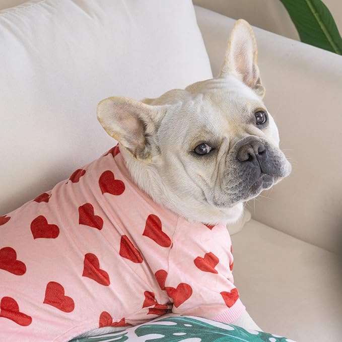 CuteBone Soft & Stretchy Dog Pajamas - Cozy Pet Jammies Breathable Jumpsuit for Small Dogs - All-Season Comfy Outfit Easy-On Pullover Design - Keeps Pets Warm & Comfortable P201XS