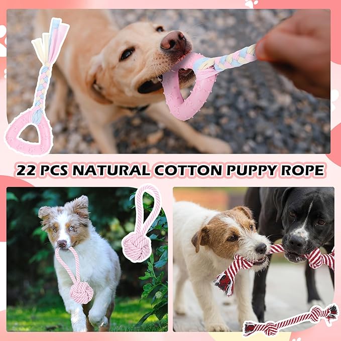 Syhood 60 Pcs Squeaky Dog Toys Bulk Stuffed Plush Chew Toys Puppy Teething Rope Cute Spiky Chew Ball for Small Dog Pet Teething Gift(Pink Style)