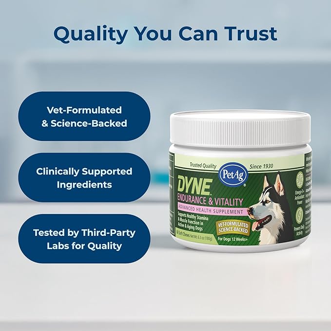 PetAg Dyne Soft Chews, Endurance & Vitality Supplement - Vet-Formulated for Aging & Active Dogs - Fuels Performance, Stamina & Recovery - 60 Chicken Liver Flavor Chews
