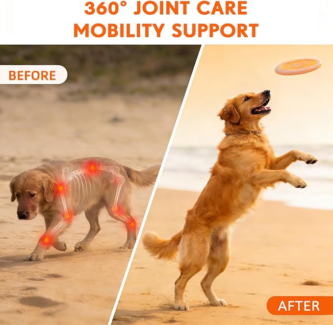 Hip and Joint Supplement for Dogs Glucosamine for Dogs, Mobility, Flexibility & Comfort Support, Hip and Joint Supplement with Chondroitin, MSM, Vitamins C & E, 120 Chews Chicken Flavored