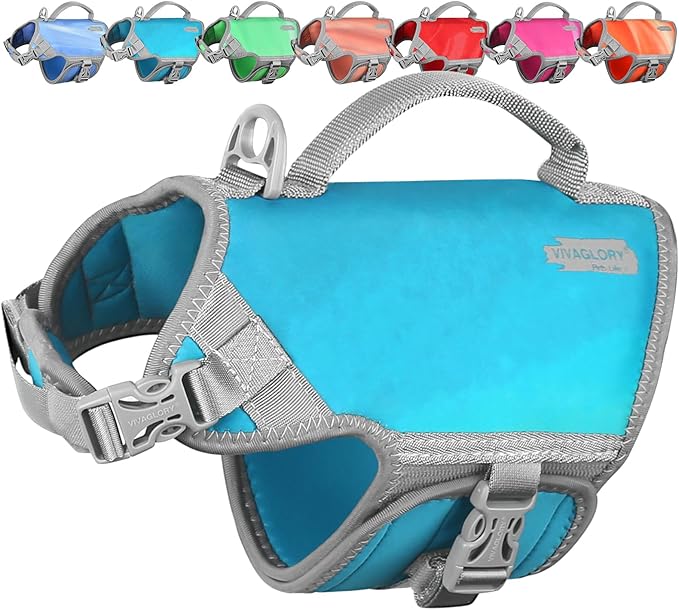 VIVAGLORY Neoprene Dog Life Vest, Dog Life Jacket for Swimming & Boating, Lightweight & Buoyancy for Puppy Doggy, Swimming Vest with Handle, XS, Teal