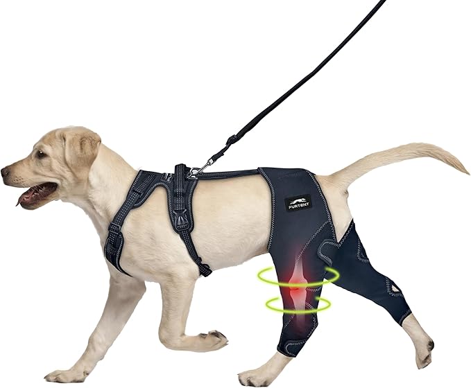 Dog Knee Brace for Torn ACL/CCL Hind Leg - Keeps Joints Warm and Stable, Upgraded Adjustable Leg Support, Dogs Rear Leg Wrap Harness Set for Leg Wound Care and Lick Prevention, L