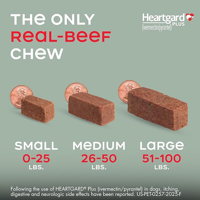 HEARTGARD® Plus (ivermectin/pyrantel) Real-Beef Chewables for Dogs up to 25 lbs (Blue Box) 1 Month Supply of Chews (Heartworm Disease Preventive)