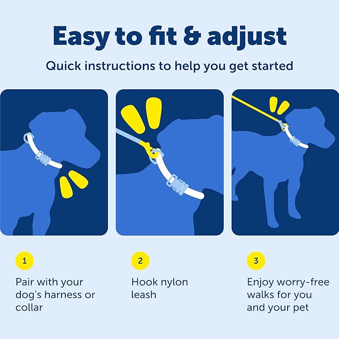 PetSafe Nylon Leash - Helps Maintain Secure Connection on Walks - Durable Pet Leash with Easy Clip - 1 in. x 4 ft. - Red